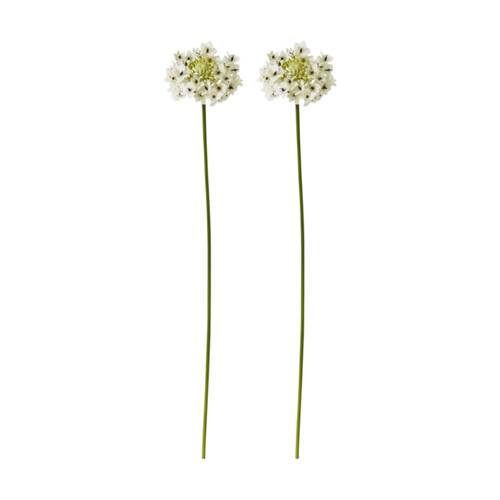 2PK E Style Star Flower Stem Artificial Floral Decor White 13x7x76cm
