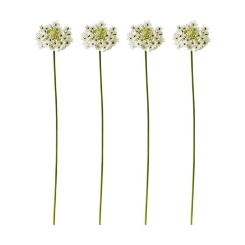 4PK E Style Star Flower Stem Artificial Floral Decor White 13x7x76cm