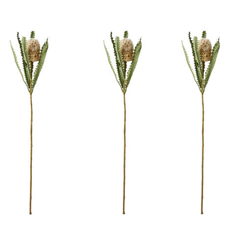 3PK E Style Banksia Plant Stem Durable Artificial Flower Beige 14x14x58cm