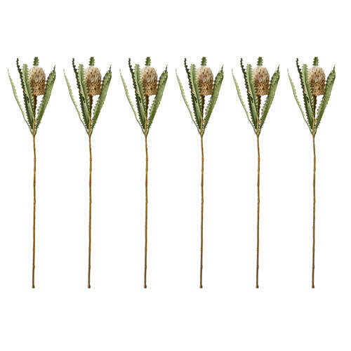 6PK E Style Banksia Plant Stem Durable Artificial Flower Beige 14x14x58cm