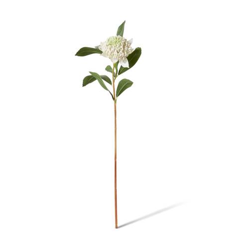 E Style Waratah Floral Stem Durable Artificial Flower White 24x22x69cm