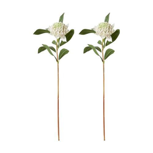 2PK E Style Waratah Floral Stem Durable Artificial Flower White 24x22x69cm