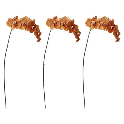 3PK E Style Phalaenopsis Orchid Stem Artificial Flower Rust 20x8x95cm