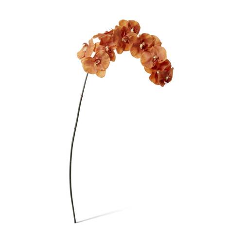 E Style Phalaenopsis Orchid Stem Artificial Flower Rust 20x8x112cm