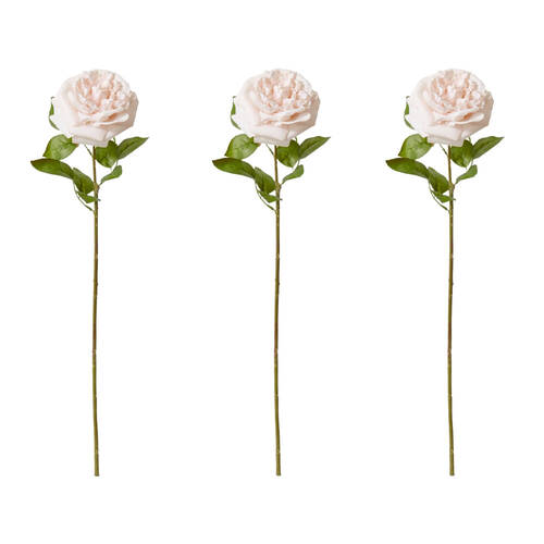 3PK E Style Rose Austin Stem Elegant Artificial Flower Blush Pink 22x14x66cm