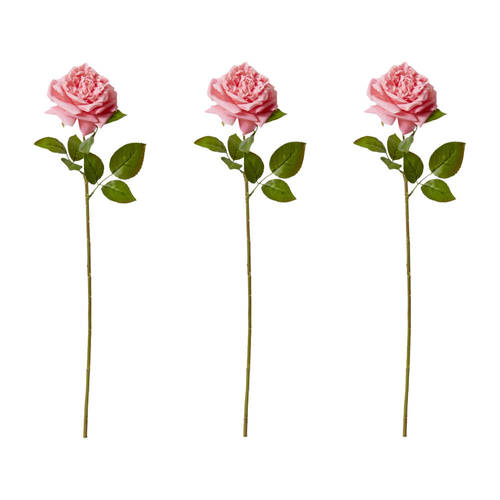 3PK E Style Rose Austin Stem Elegant Artificial Flower Dark Pink 22x14x66cm