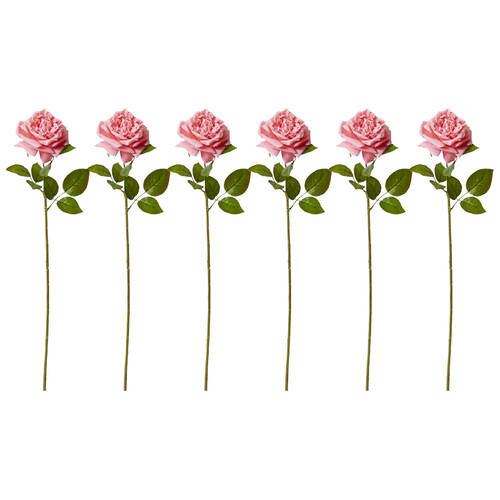 6PK E Style Rose Austin Stem Elegant Artificial Flower Dark Pink 22x14x66cm
