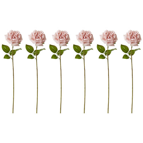 6PK E Style Rose Austin Stem Elegant Artificial Flower Dusty Pink 22x14x66cm