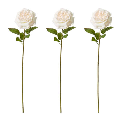 3PK E Style Rose Austin Stem Elegant Artificial Flower Pink Cream 22x14x66cm