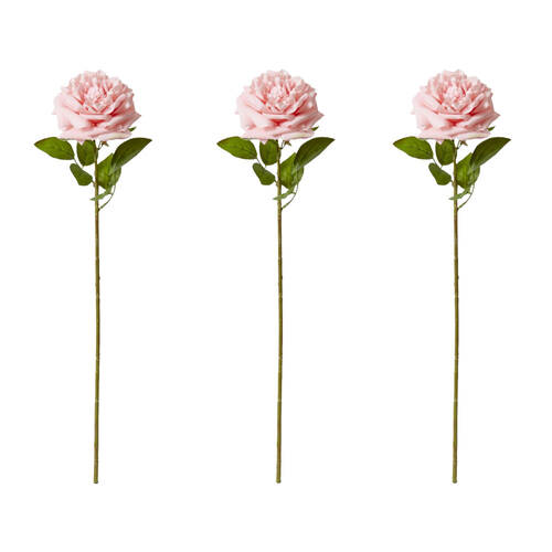 3PK E Style Rose Austin Stem Elegant Artificial Flower Pink 22x14x66cm