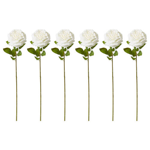 6PK E Style Rose Austin Stem Elegant Artificial Flower White 22x14x66cm