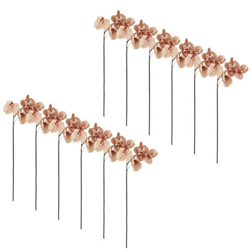 12PK E Style Phalaenopsis Orchid Mini Stem Artificial Flower Brown 14x7x51cm