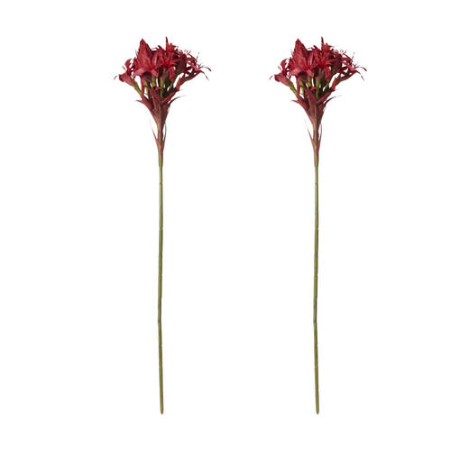 2PK E Style Gymea Lily Stem Artificial Flower Decoration Red 33x33x143cm
