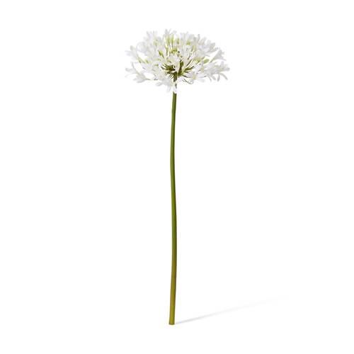 E Style Agapanthus Stem Artificial Floral Decoration White 21x25x76cm