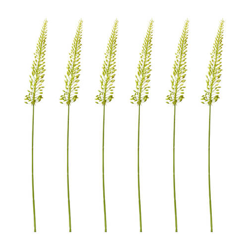 6PK E Style Foxtail Lily Mini Stem Artificial Flower Decoration Green 6x4x75cm