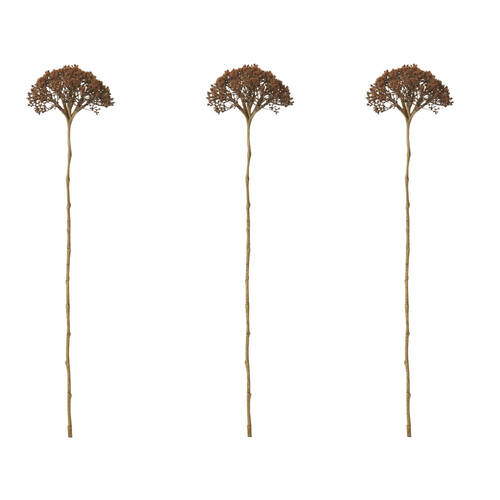 3PK E Style Queen Ann Lace Stem Artificial Flower Decoration Brown 12x11x53cm