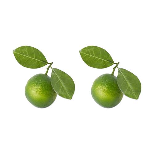 2PK E Style Lime Twig Realistic Artificial Fruit Plastic Foam Green 12x7x8cm