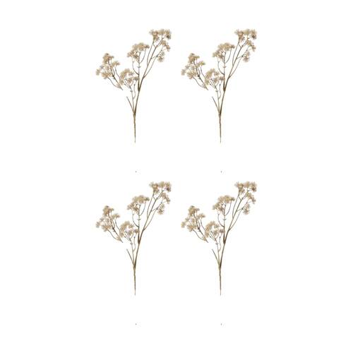 4PK E Style Aralia Deco Seed Spray Realistic Artificial Flower Beige 84cm