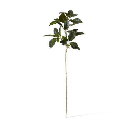 E Style Viburnum Spray Realistic Artificial Flower Plastic Green 17x20x66cm