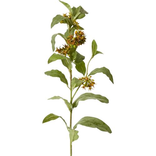 E Style Asclepia Beatrix Spray Realistic Artificial Flower Orange Green 105cm