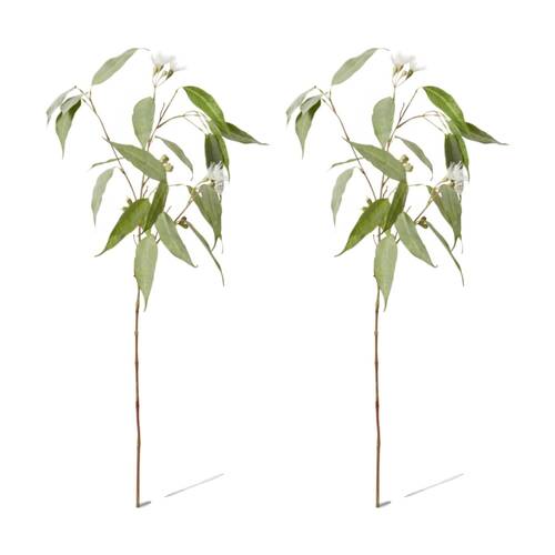 2PK E Style Eucalyptus Flowering Spray Realistic Artificial Flower White Green