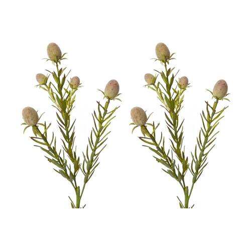 2PK E Style Leucadendron Nut Spray Realistic Artificial Flower Green 12x8x53cm