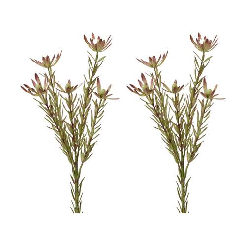2PK E Style Leucadendron Spray Realistic Artificial Flower Burgundy Green 72cm