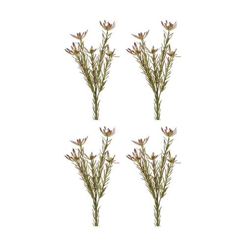 4PK E Style Leucadendron Spray Realistic Artificial Flower Burgundy Green 72cm