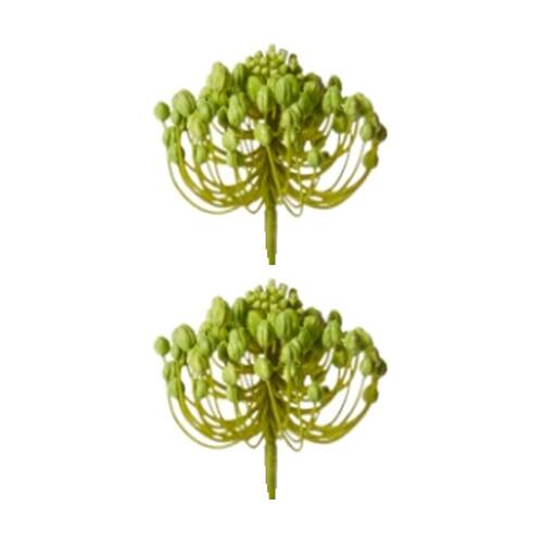 2PK E Style Star Seeding Stem Realistic Artificial Flower Green 11x11x61cm