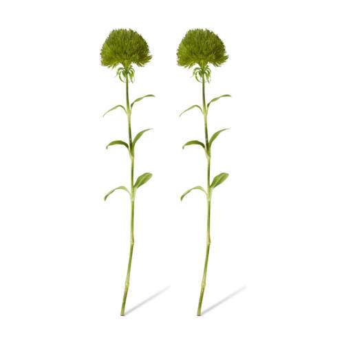 2PK E Style Dianthus Stem Realistic Artificial Flower Plastic Green 12x9x52cm