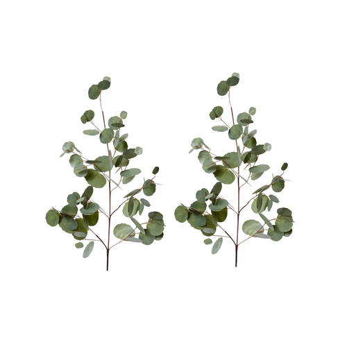 2PK E Style Eucalyptus Silver Dollar Spray Artificial Flower Green 99cm