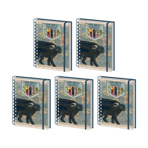 5PK How To Train Your Dragon Map Spiral Kids Writing Notebook Lined A5 21x16cm