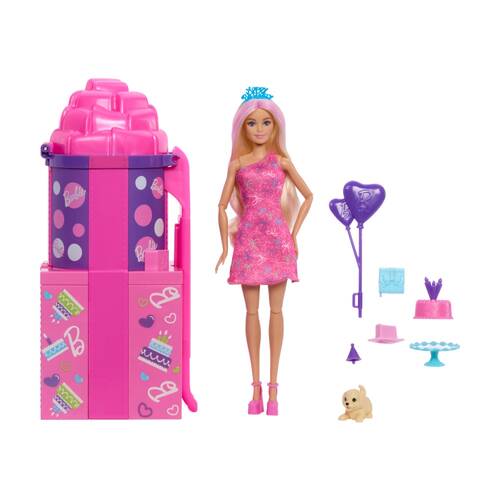 13pc Barbie Party Unboxed Birthday Present Surprise & Slide Doll W/ Puppy 3y+