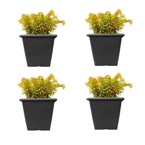 4PK Northcote Pottery Weather Resistant & Light Simon Pot Anthracite Square 28cm
