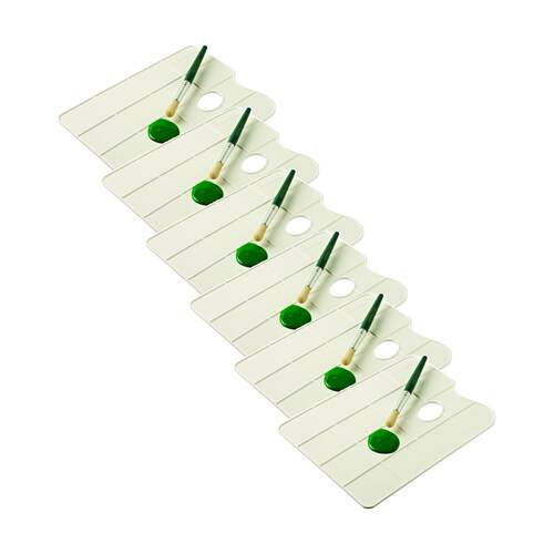 6PK Educational Colours Flat Painting Palette 300mm x 225mm White Kids Art/Craft