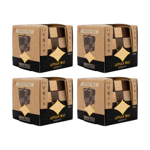 4PK Project Genius True-Genius Mini Brainteaser Puzzle 14y+ Assorted