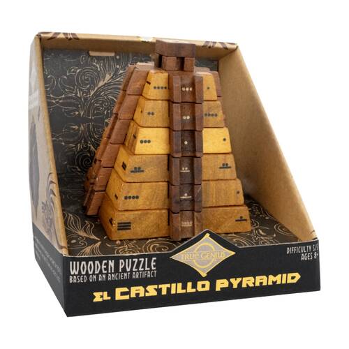 Project Genius El Castillo Pyramid Puzzle Symbol Decoding Math Challenge 8y+