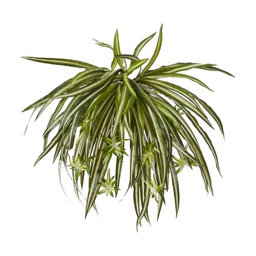 E Style Spider Plant Variegated Indoor Plastic Fabric Wire 35x35x48cm