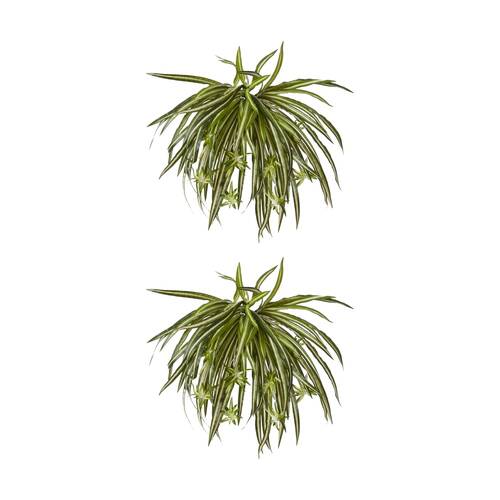 2PK E Style Spider Plant Variegated Indoor Plastic Fabric Wire 35x35x48cm