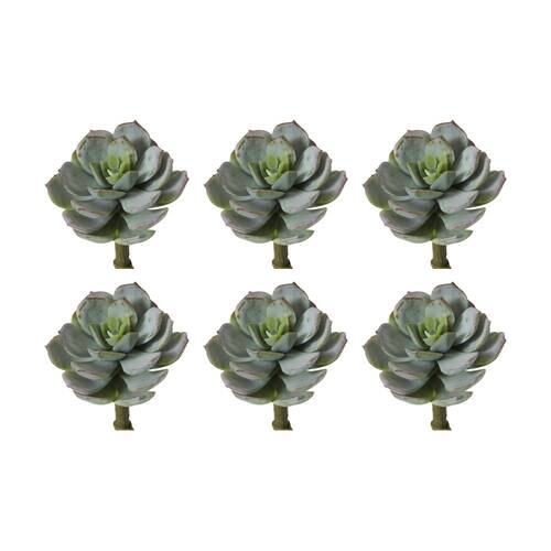 6PK E Style Echeveria Opalina Pick Artificial Succulent Stem Plastic Wire Grey