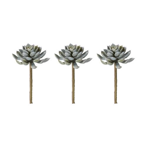 3PK E Style Echeveria Elegant Stem Artificial Succulent Plastic Green 12x12x18cm