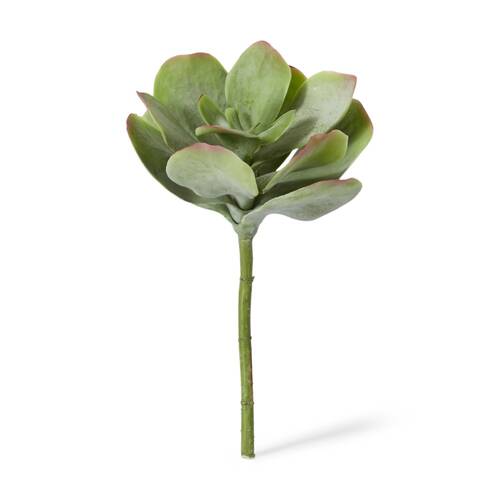 E Style Flapjack Succulent Stem Artificial Plant Wire Green Red 23x23x38cm