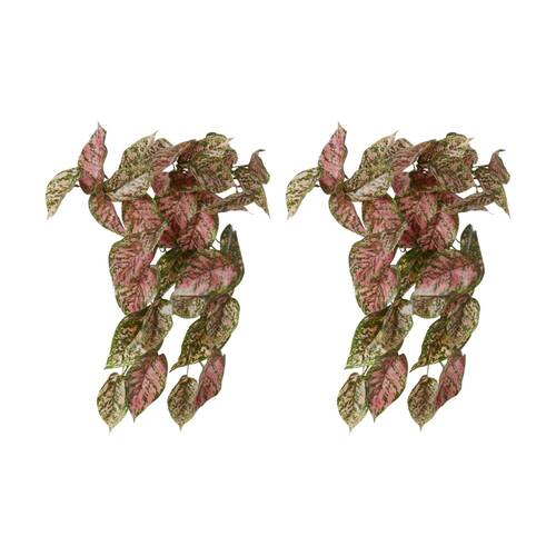 2PK E Style Aglaonema Hanging Plant Realistic Artificial Green Pink 27x22x40cm