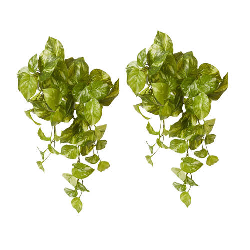 2PK E Style Pothos Marble Hanging Plant Plastic Wire Green White 35x30x50cm