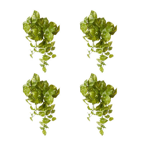 4PK E Style Pothos Marble Hanging Plant Plastic Wire Green White 35x30x50cm