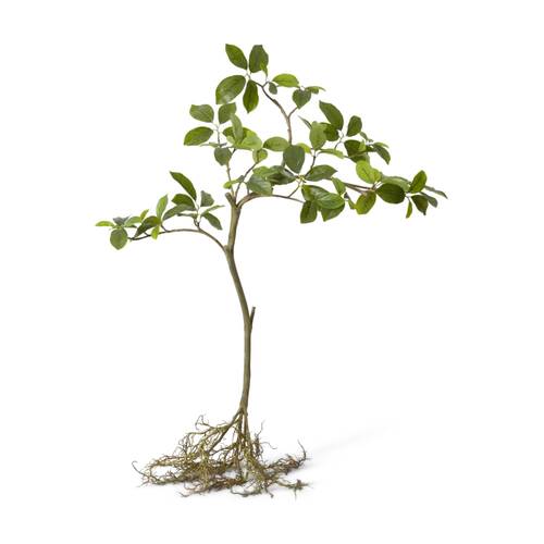 E Style Blue Berry Tree With Roots Plastic Wire Cement Green 68x44x90cm