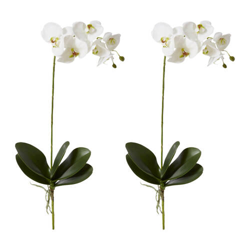 2PK E Style Phalaenopsis Grand Plant Orchid Artificial Decor White 26x26x63cm