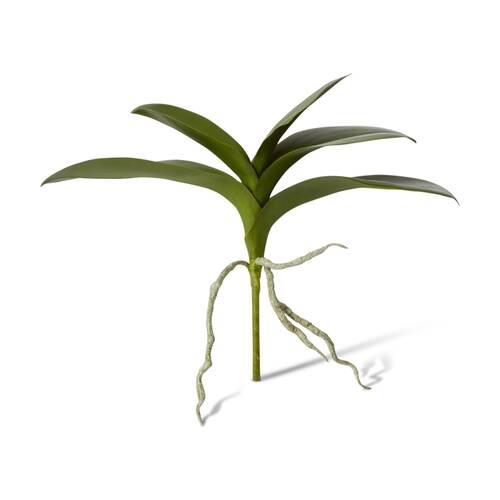 E Style Phalaenopsis Lush Foliage Plant Artificial Decor Green 35x15x31cm