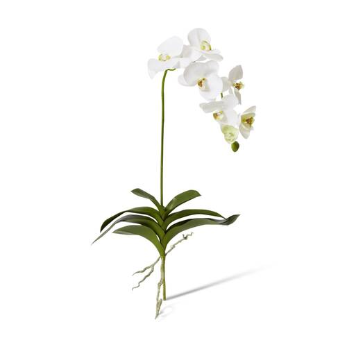 E Style Phalaenopsis Deluxe Plant Artificial Indoor White Green 42x22x89cm