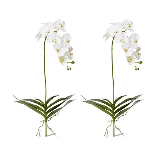 2PK E Style Phalaenopsis Deluxe Plant Artificial Indoor White Green 51x34x114cm
